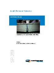 ACI SP-319-17