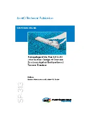 ACI SP-313-17