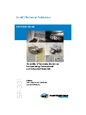 ACI SP-331-19