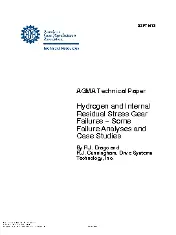 AGMA 08FTM13 2008