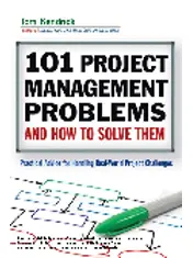 AMACOM 101 PROJ MGT PROB HW SLV 2010