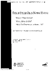 API Publ 4691-1999 scan
