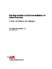 API TR 1147-2014