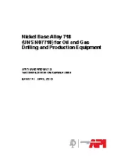 API St 6A718-2009 (2010)