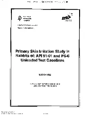 API TR 409-1995