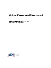 API RP 65-3-2021