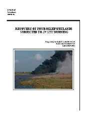 API Publ 4724-2002