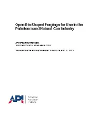 API Spec 20B-2020