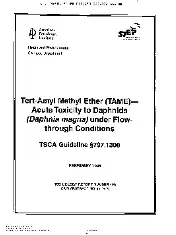 API TR 406-1995