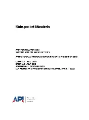 API Spec 19G1-2019 (2021)