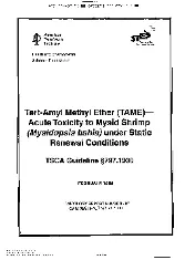 API TR 407-1995
