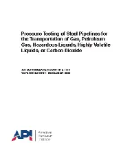 API RP 1110-2022
