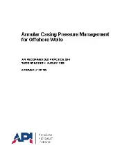 API RP 90-1-2021