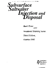 API Subsurface saltwater ihjection and disposal 1995 (book 3 of the vocational training series) scan