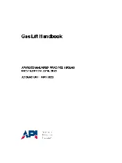 API RP 19GLHB-2020 (2023)