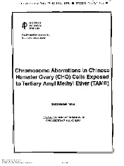 API TR 410-1996