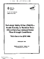 API TR 408-1995