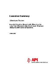 Impact of Gasoline Blended with Ethanol on the Long-Term Structural Integrity of Liquid Petroleum Storage Systems and Components 2002