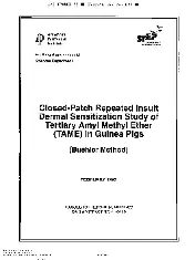 API TR 403-1995