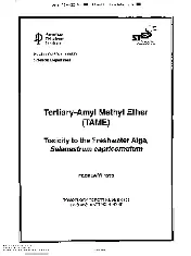 API TR 402-1995