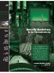 API Security Guidelines for the Petroleum Industry 2005