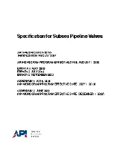 API Spec 6DSS-2017 (2022)
