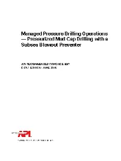 API RP 92P-2019