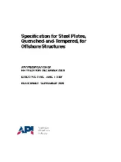 API Spec 2Y-2006 (2020)