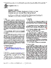 ASTM G219-24