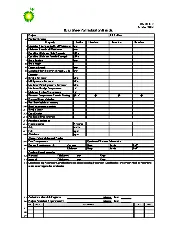 BP DS-43-317 2007