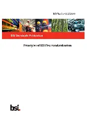 BSI Flex 0 v1.0:2021-11