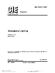 CIE S 020'E-2007