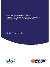 EEMUA 246-2022