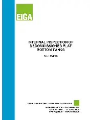 EIGA DOC 234 2020