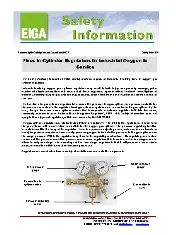 EIGA SI 16 2021