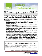 EIGA SI 46 2024