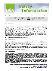 EIGA SI 33 2018