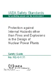IAEA NS-G-1.11 2004