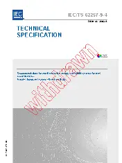 IEC TS 62257-9-4 2006