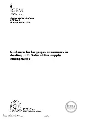 IGEM IGE/GL/9 2006