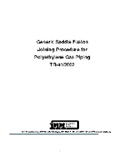 IGS SADDLE-FUSION 2002