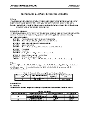 JSAE T206 2005