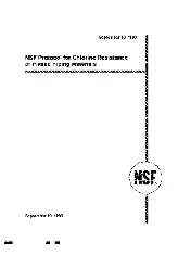 NSF  1999