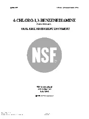 NSF 4-CHLORO-1,3 2006