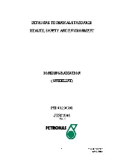 PETRONAS 60.1507.01 2006