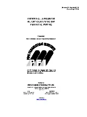 PFI ES-29 2019