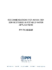 PPI TN-49 2025
