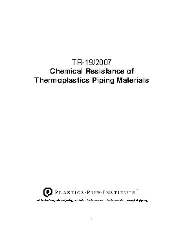 PPI TR-19 2007