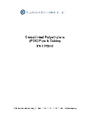 PPI TN-17 2013