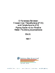 PPI TN-31 2017